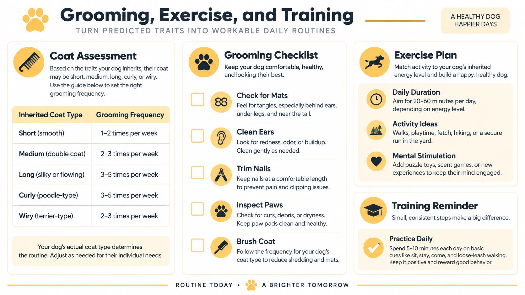 An infographic detailing dog grooming, exercise, and training routines with a coat type frequency table.