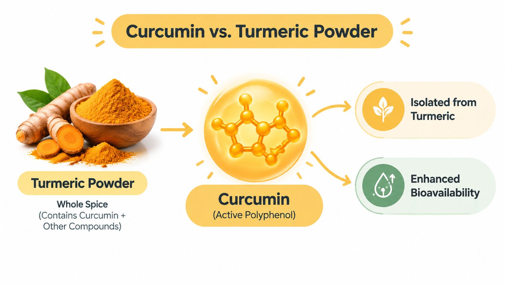 An infographic comparing raw turmeric powder and the isolated active compound curcumin, highlighting their properties.