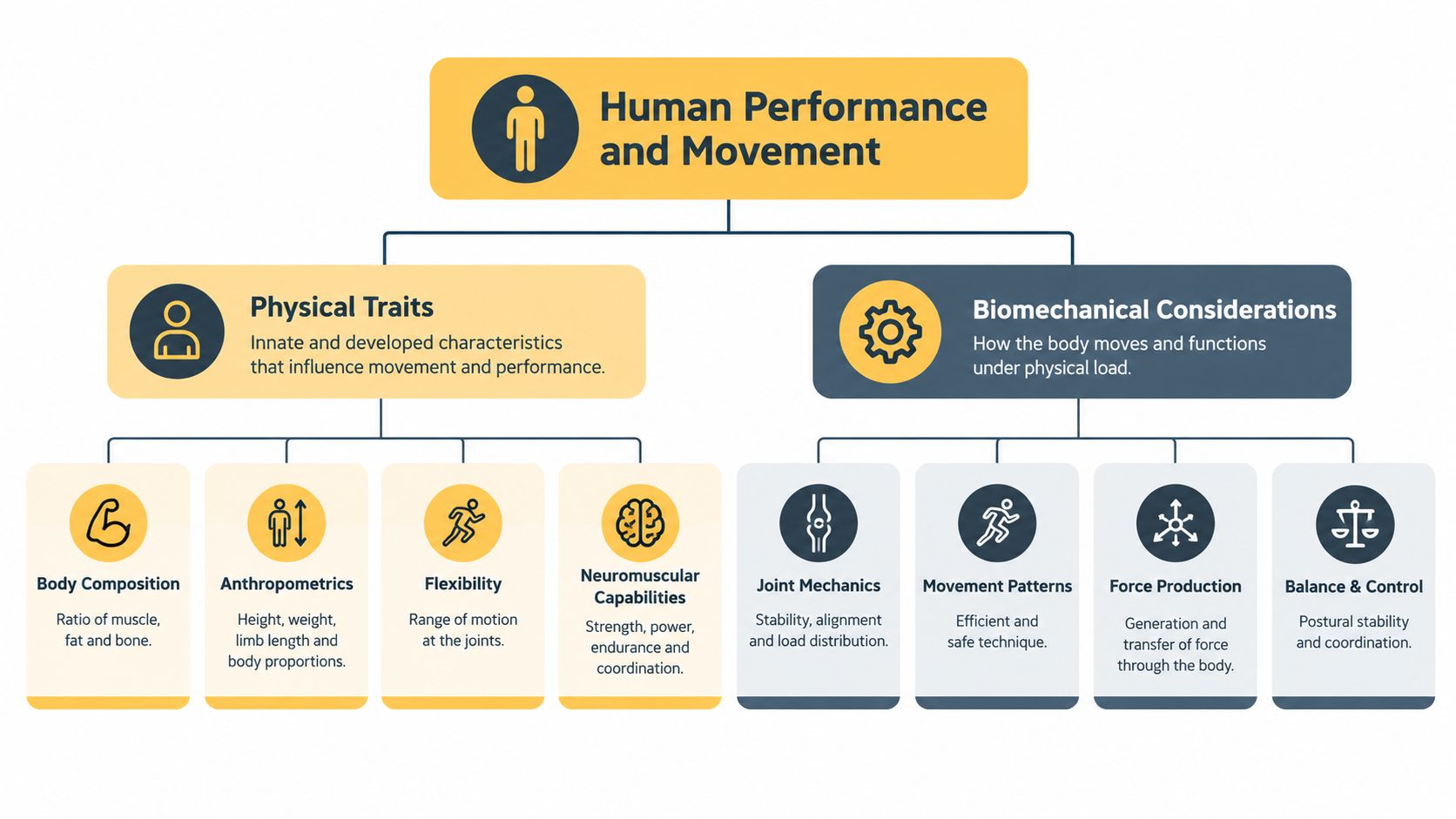 A diagram illustrating the factors of Human Performance and Movement divided into Physical Traits and Biomechanical Considerations.