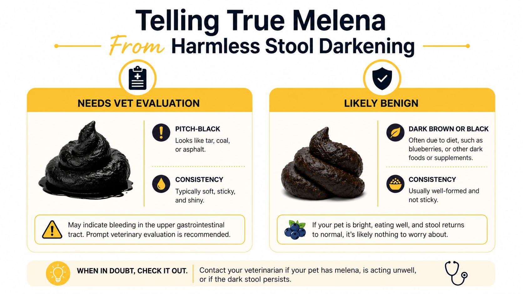 An infographic comparing true melena in dogs, which is black and sticky, against harmless diet-related dark stool.
