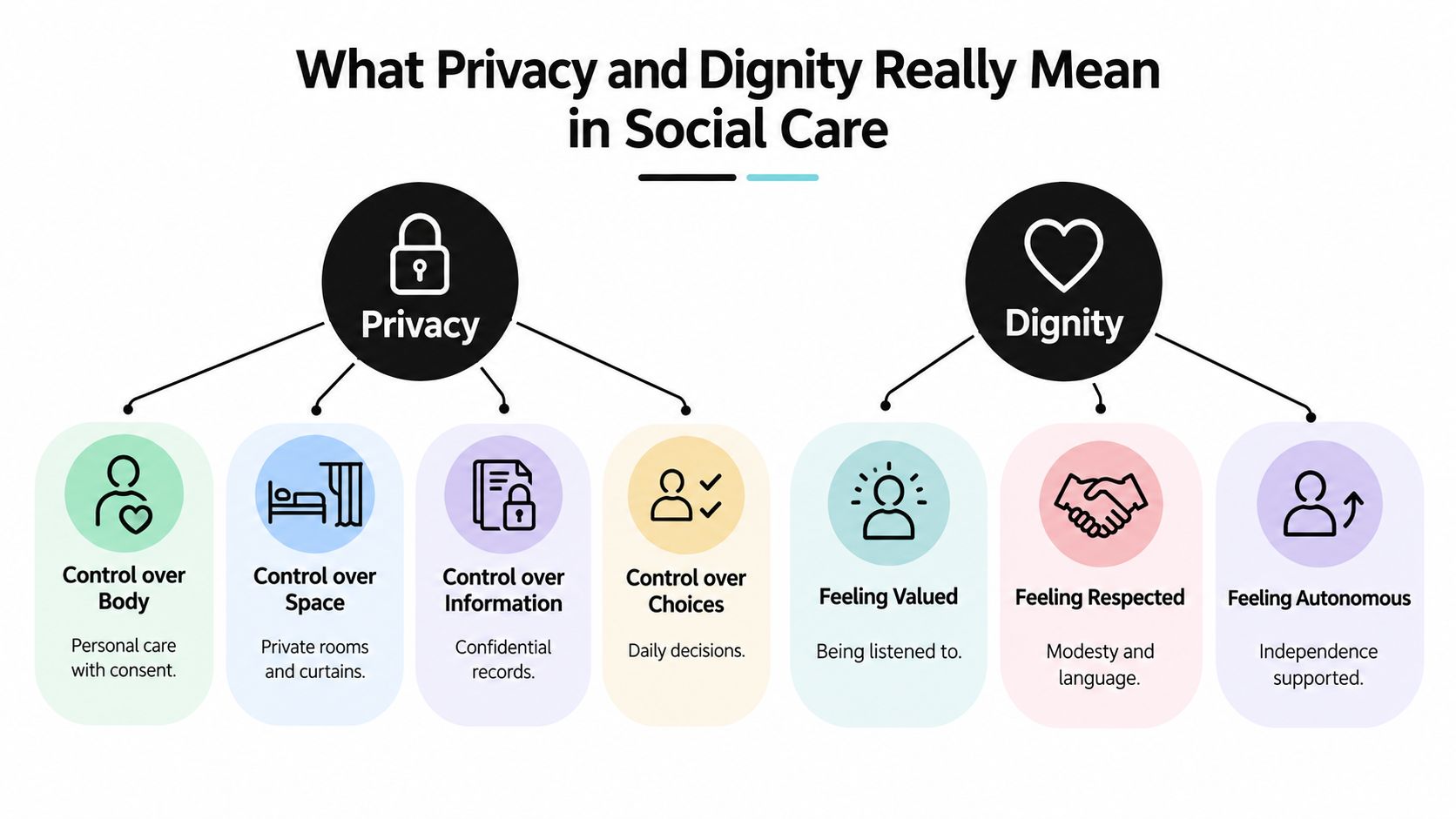 A diagram outlining the components of privacy and dignity in social care through categorized icons and text.