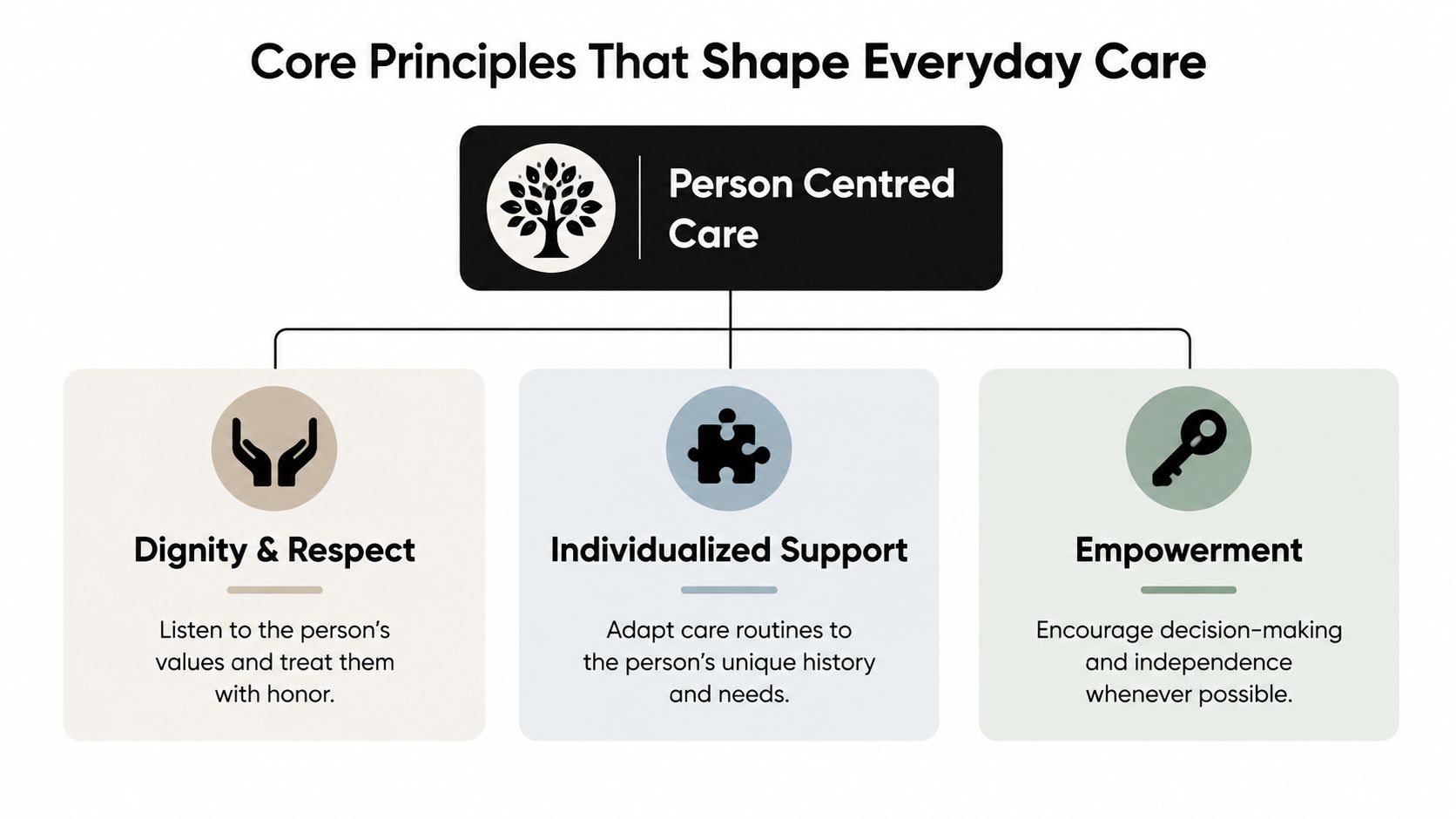 A diagram outlining core principles of person-centered care including dignity and respect, individualized support, and empowerment.