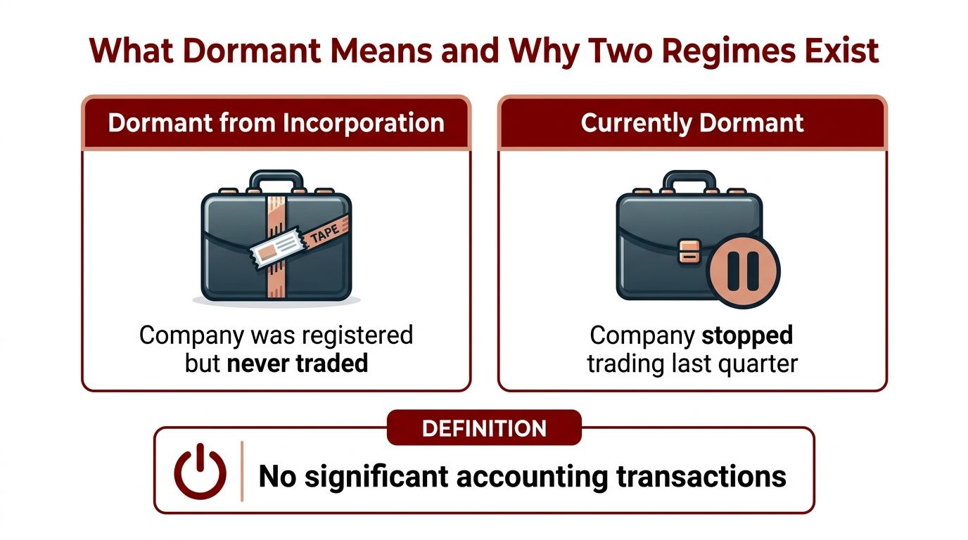 An infographic explaining the two types of dormant companies and the definition of a company with no significant accounting transactions.