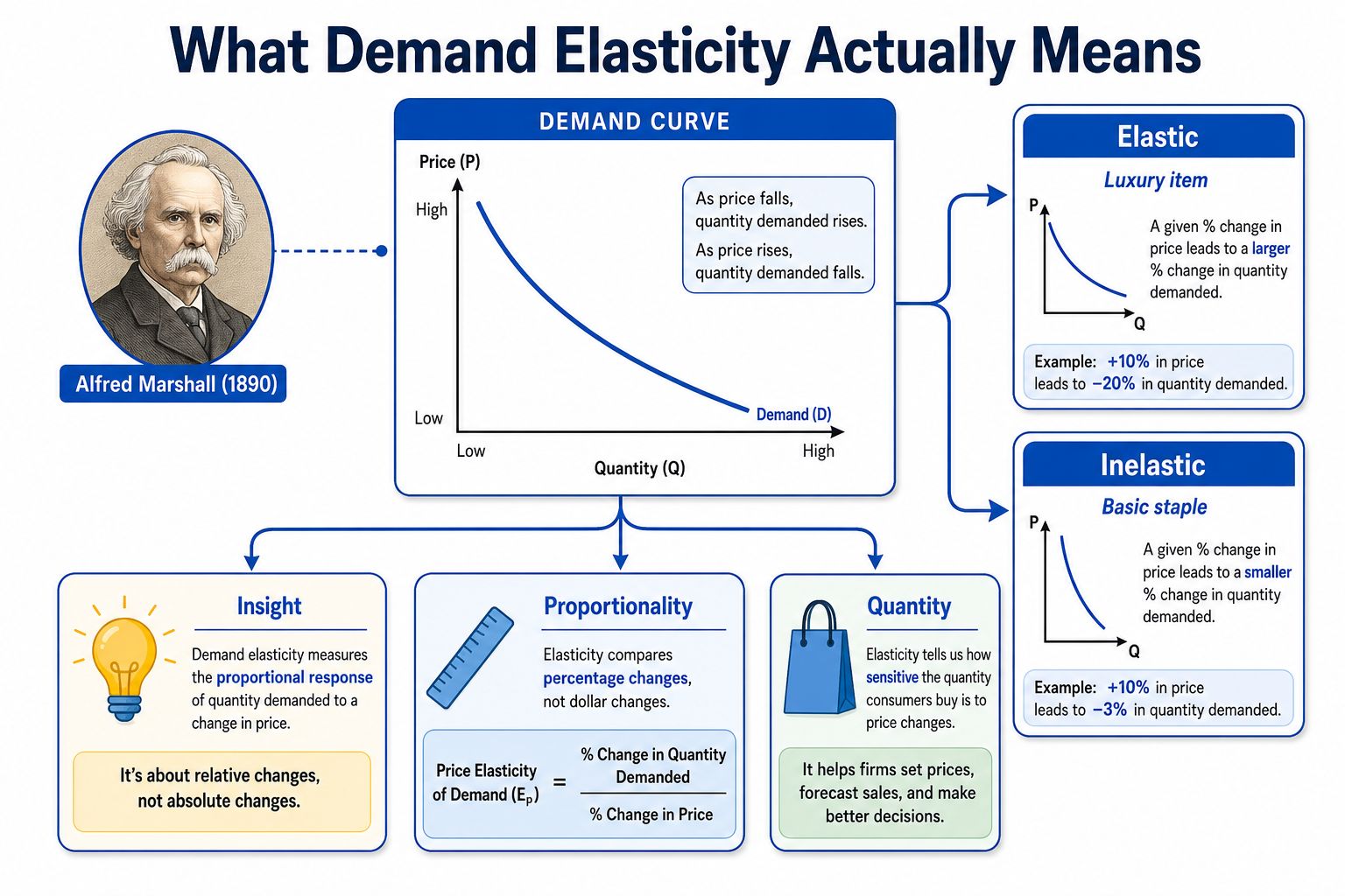 An educational infographic explaining the concept of demand elasticity with graphs, formulas, and key economic definitions.