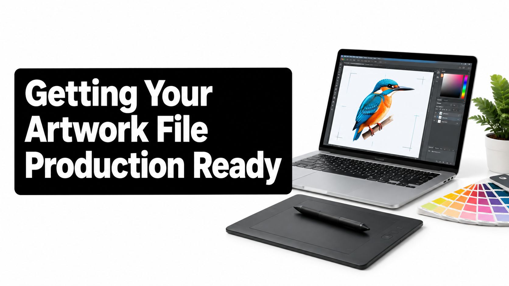 A professional laptop and drawing tablet on a desk with a kingfisher illustration and color swatches.