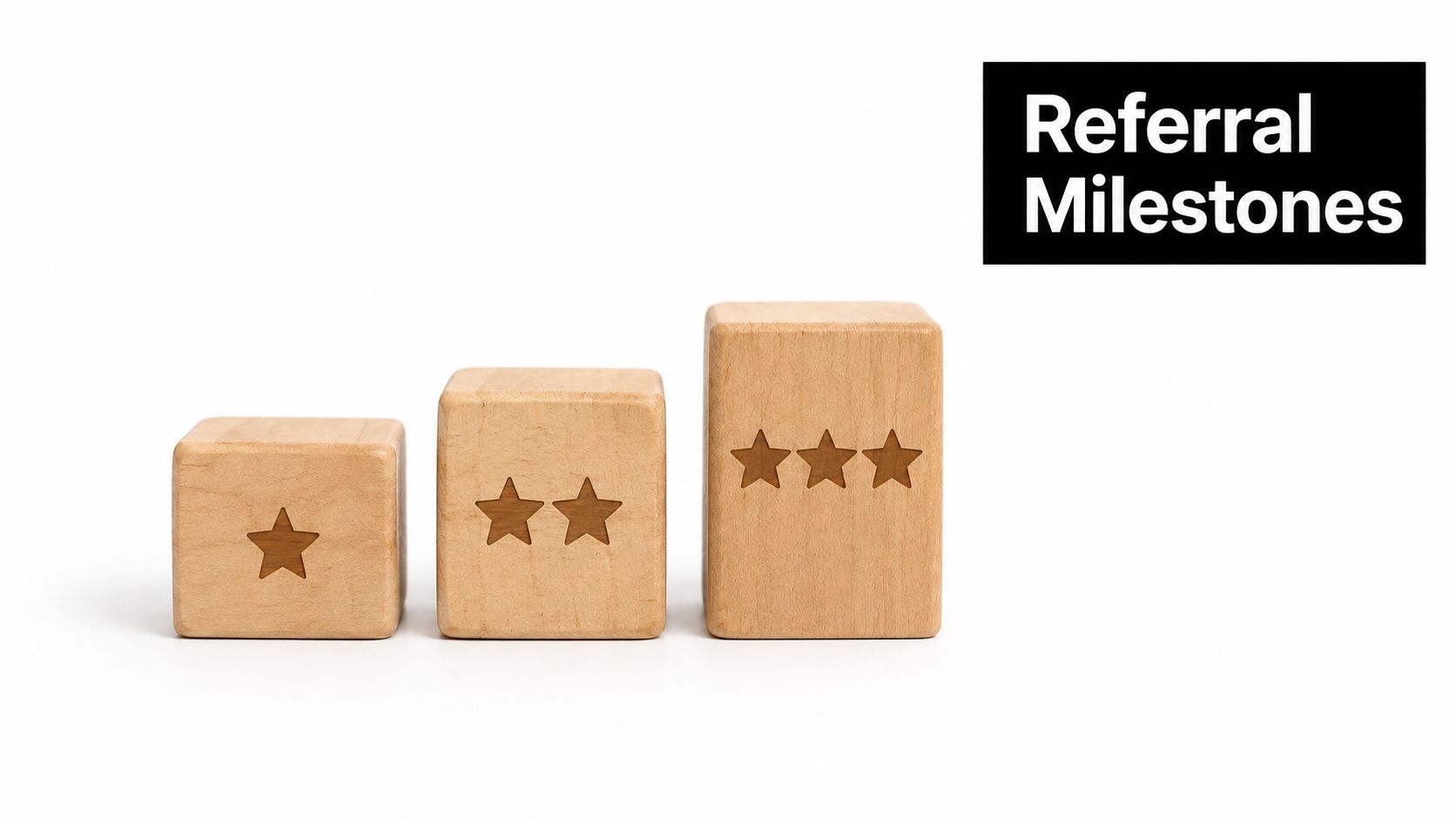Three wooden blocks of increasing height arranged on a white surface with a Referral Milestones sign.
