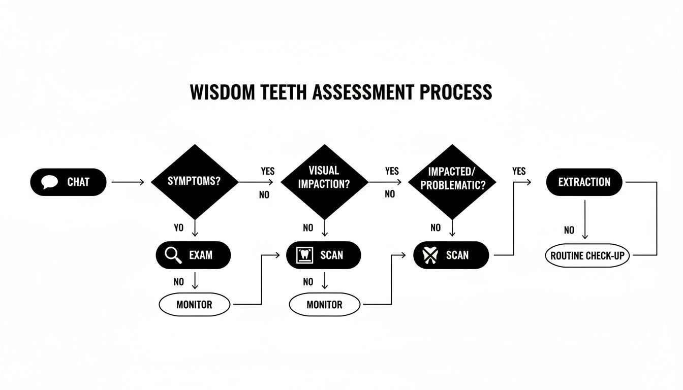 Flowchart illustrating the wisdom teeth assessment process, from initial chat to extraction or routine check-up.