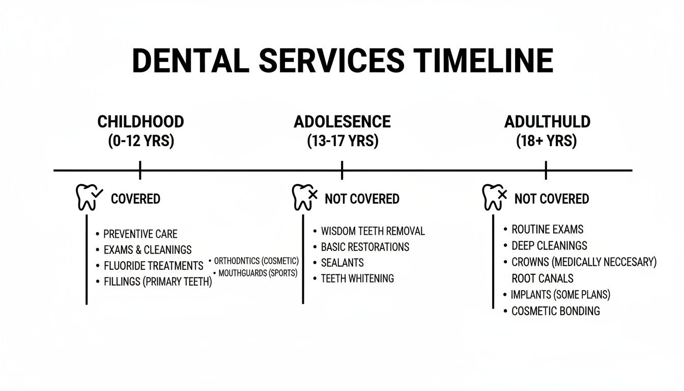 Dental services timeline showing covered and not covered services for childhood, adolescence, and adulthood.