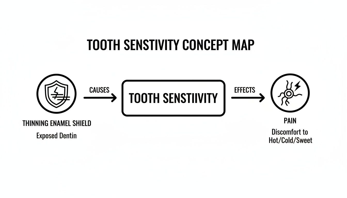 Concept map illustrating tooth sensitivity, its causes (thinning enamel, exposed dentin), and effects (pain, discomfort).