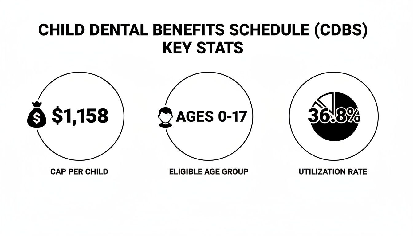 Child Dental Benefits Schedule (CDBS) key statistics showing cap, age group, and utilization rate.