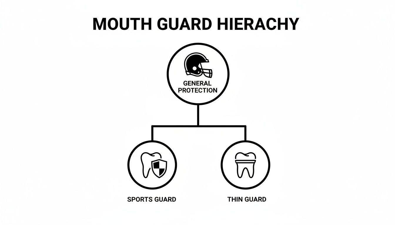 A mouth guard hierarchy diagram showing general protection at the top, branching into sports guard and thin guard.