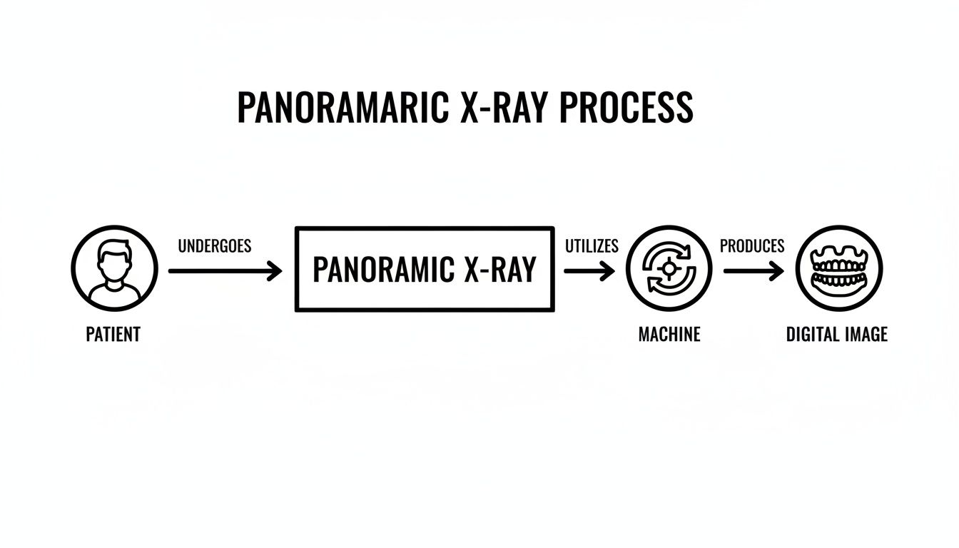 Flowchart illustrating the panoramic X-ray process, from patient to a digital dental image.