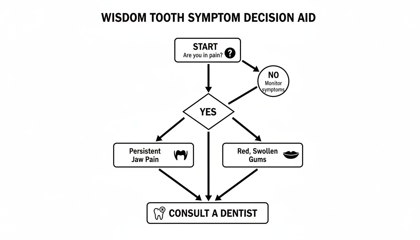 A wisdom tooth symptom decision aid flowchart, guiding users to consult a dentist for pain, jaw pain, or swollen gums.