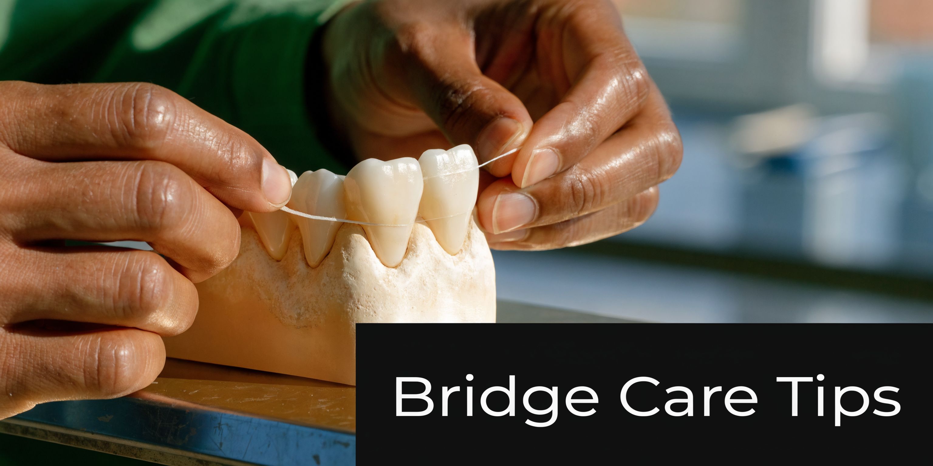 A dentist demonstrates proper flossing techniques on a dental model to show how to care for bridges.