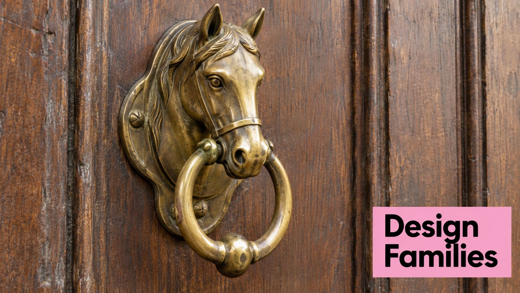 A close-up view of an elegant brass horse head door knocker mounted on a dark wooden door.