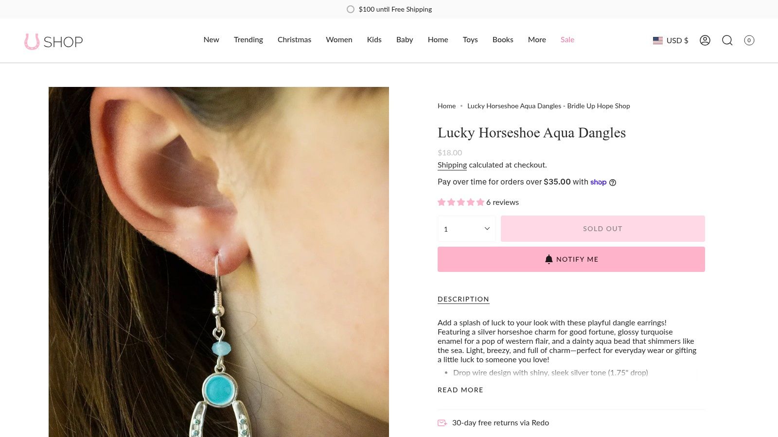Lucky Horseshoe Aqua Dangles - Bridle Up Hope Shop