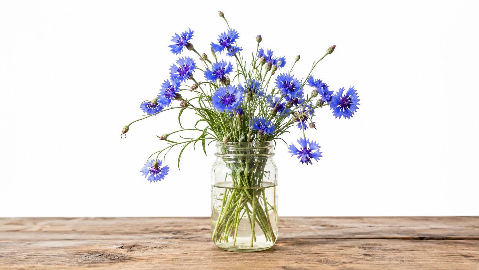 En buket friske kornblomster i et glas med vand placeret på et rustikt træbord mod hvid baggrund.