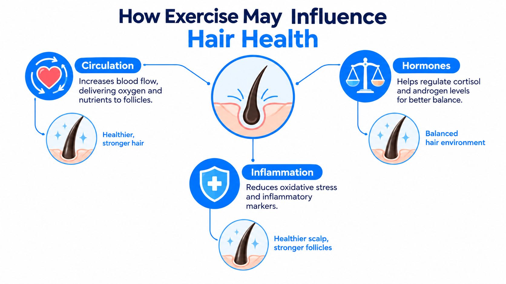 An infographic illustrating how physical exercise improves hair health through better circulation, hormone balance, and reduced inflammation.