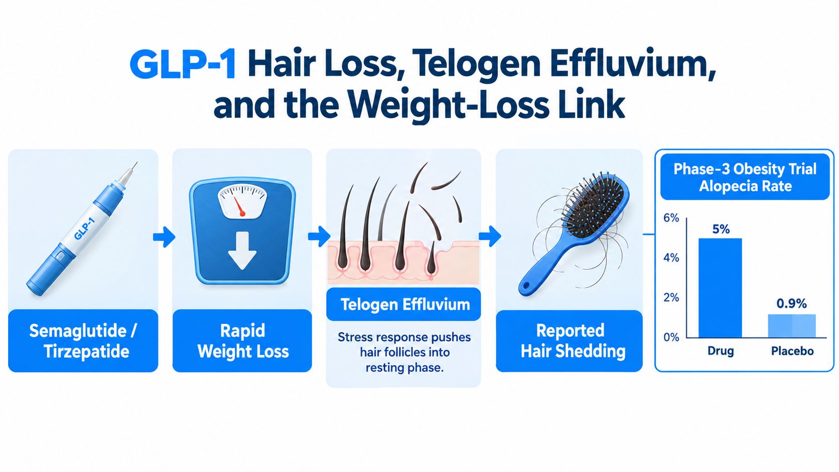 An infographic showing the link between GLP-1 weight loss medications, rapid weight loss, and hair shedding.