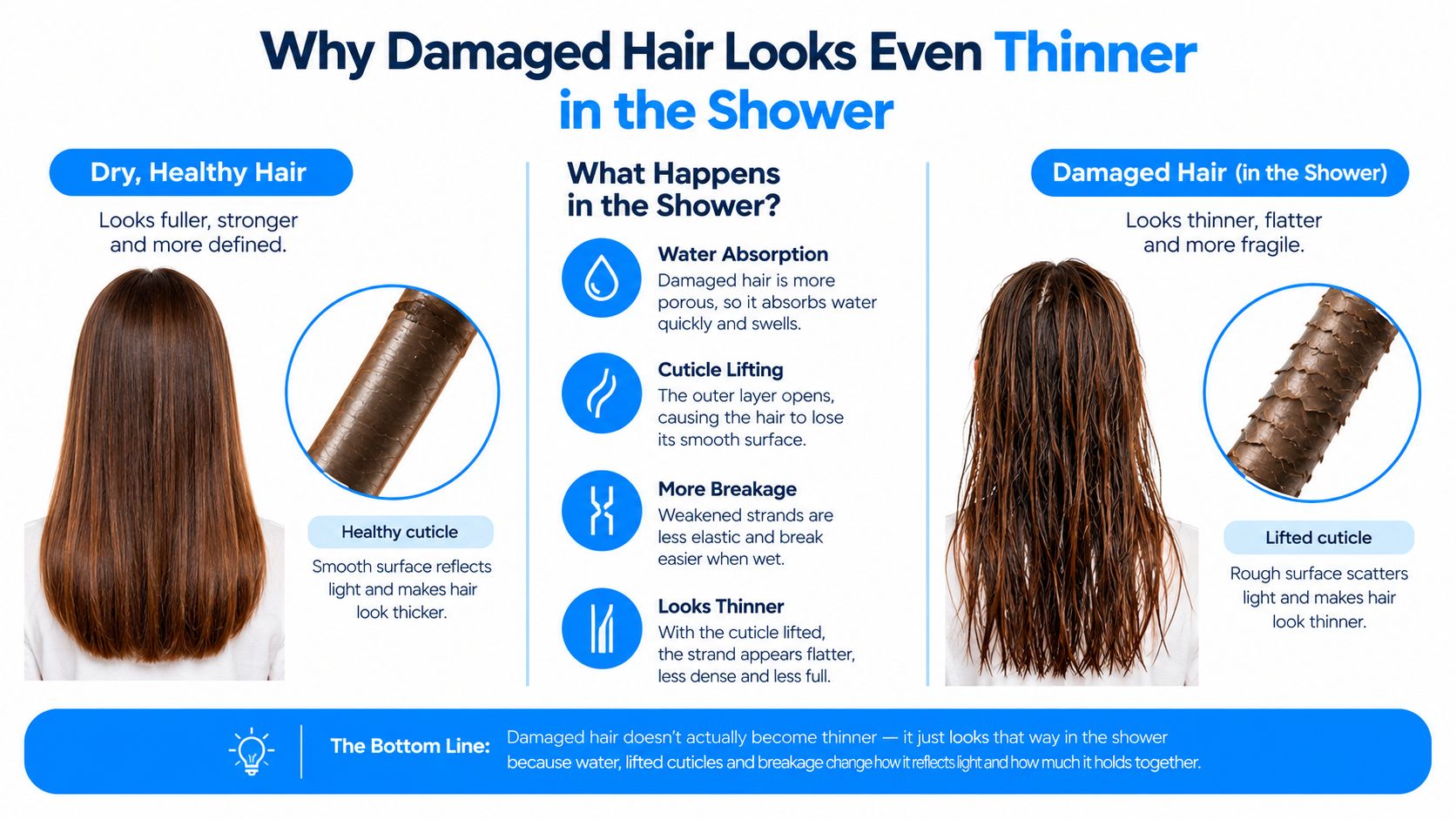 An infographic explaining why damaged hair appears thinner and flatter when wet in the shower.