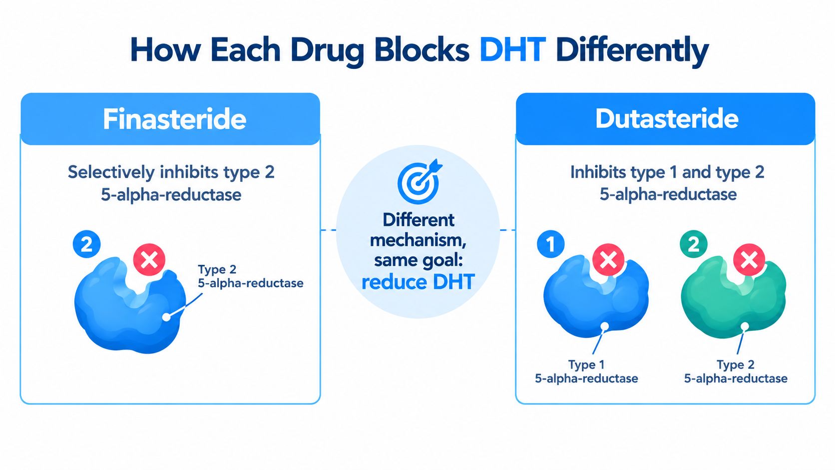A comparison chart showing how Finasteride and Dutasteride drugs differently inhibit 5-alpha-reductase enzymes to reduce DHT.