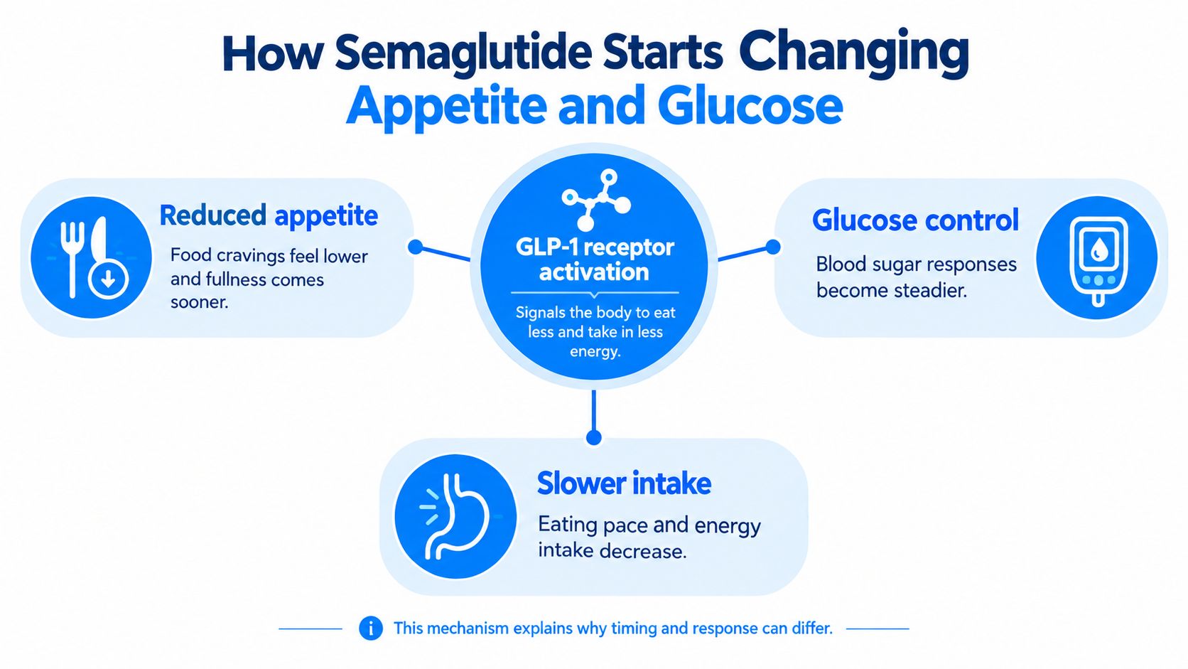An infographic illustrating how semaglutide works through GLP-1 receptor activation to control appetite, glucose, and food intake.