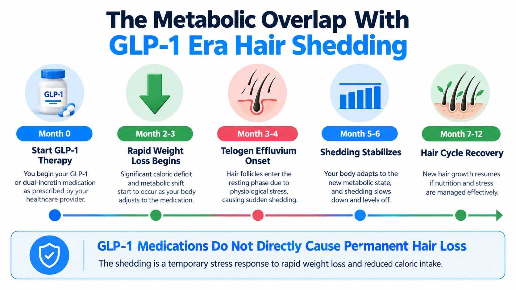A timeline chart illustrating the stages of temporary hair shedding associated with using GLP-1 weight loss medications.