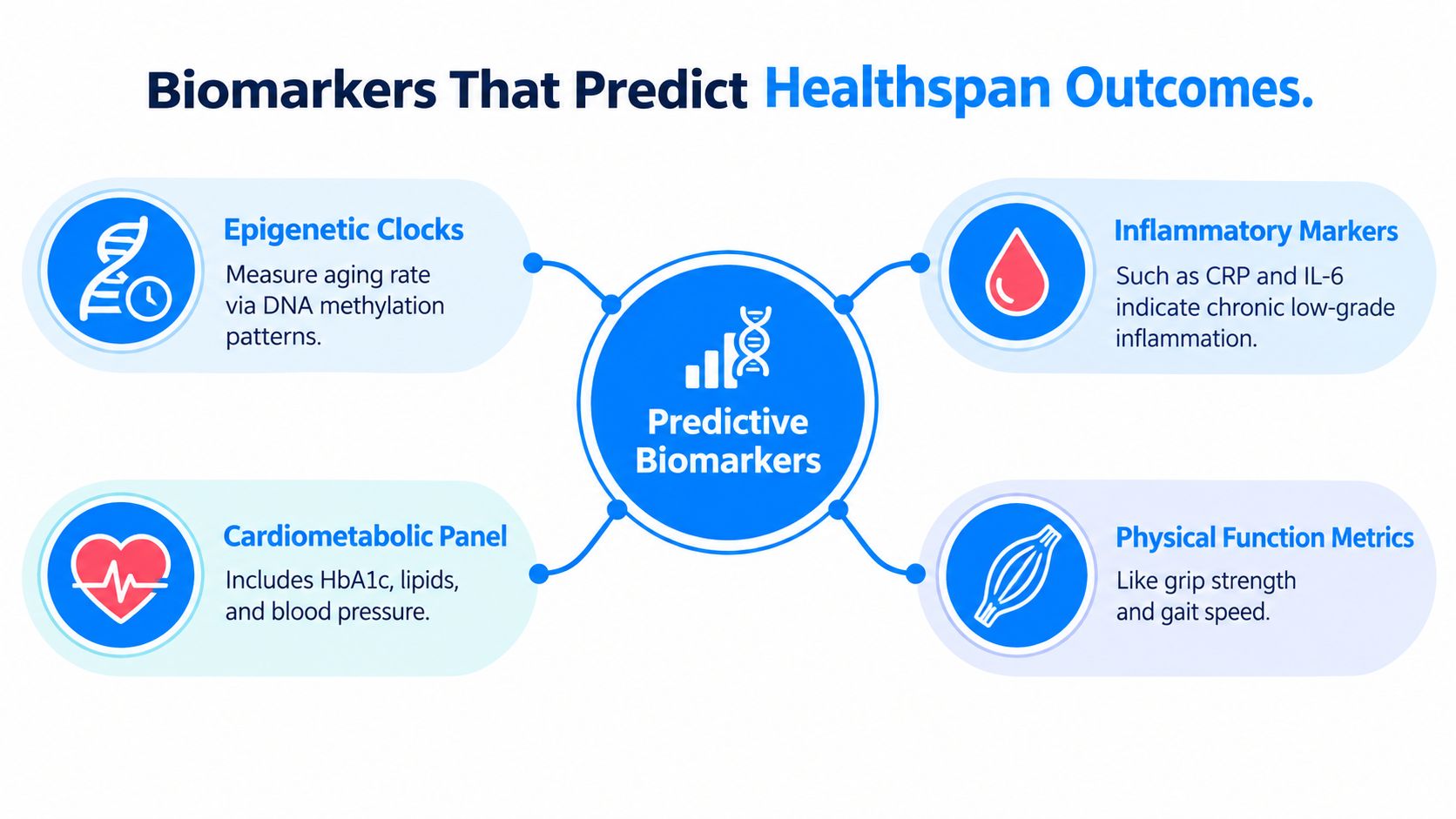 A diagram illustrating four categories of healthspan predictive biomarkers: epigenetic clocks, inflammatory markers, cardiometabolic panels, and physical function.