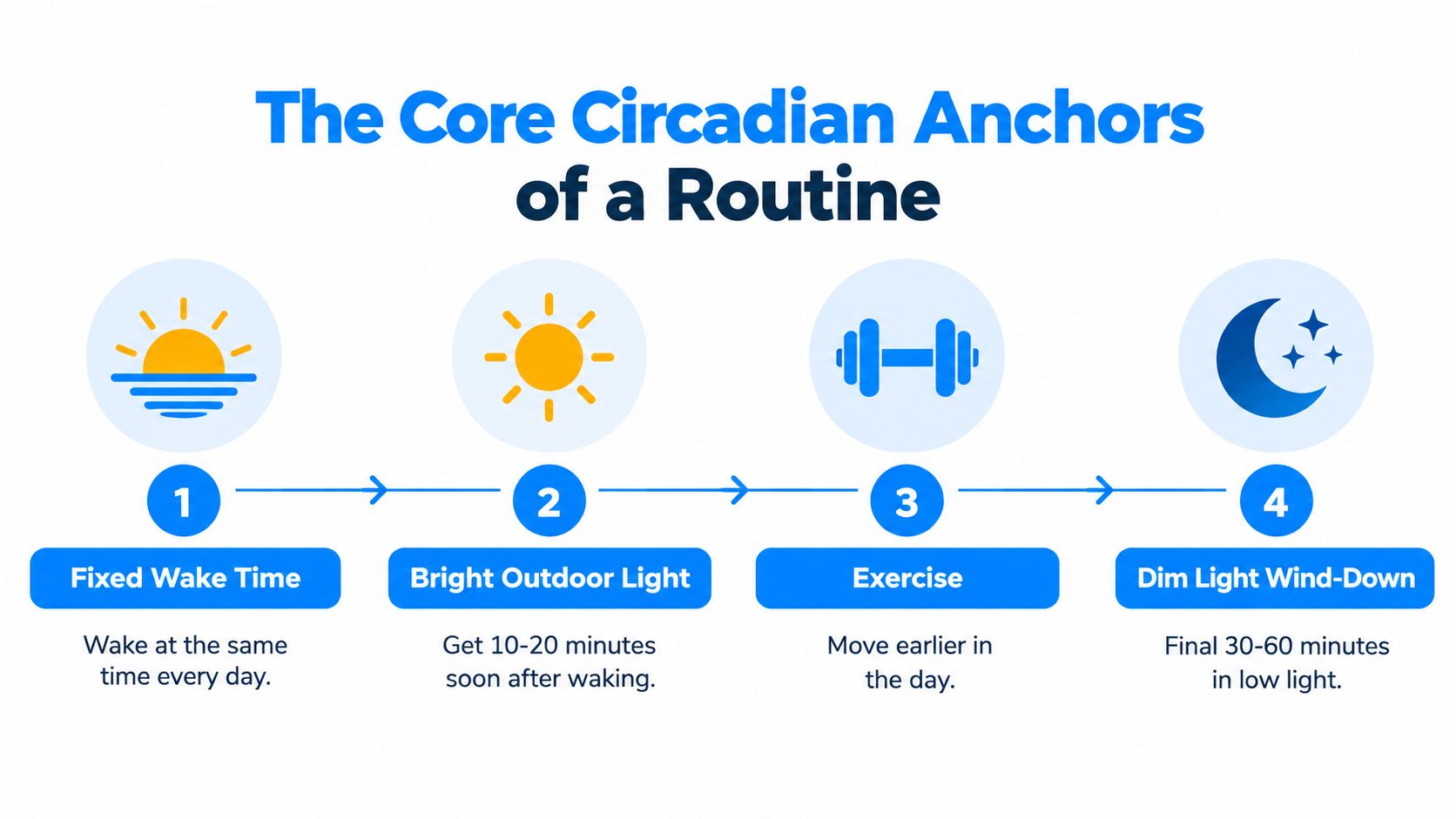 A diagram outlining four essential circadian anchors for a healthy daily sleep routine and wake cycle.
