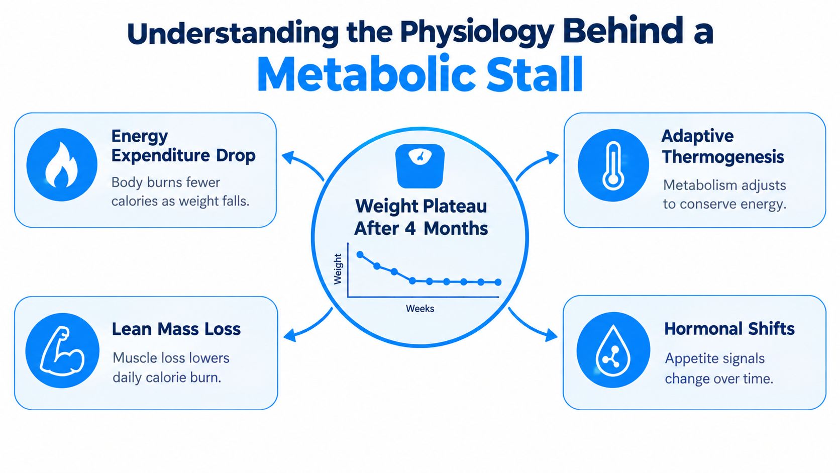 An infographic showing four physiological reasons for a weight loss plateau after four months of dieting.