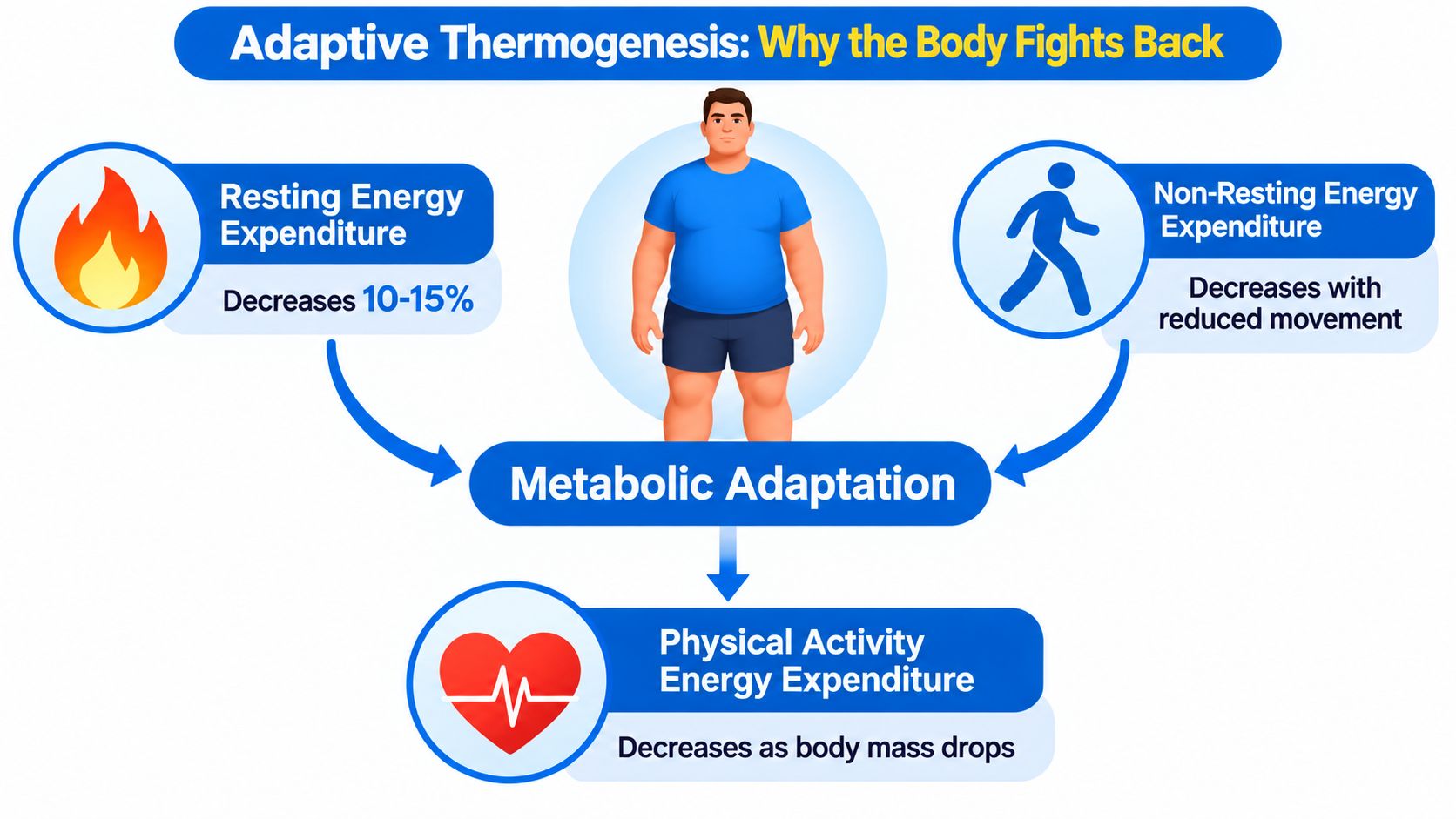 A diagram illustrating adaptive thermogenesis, showing how resting and non-resting energy expenditure decrease during weight loss.