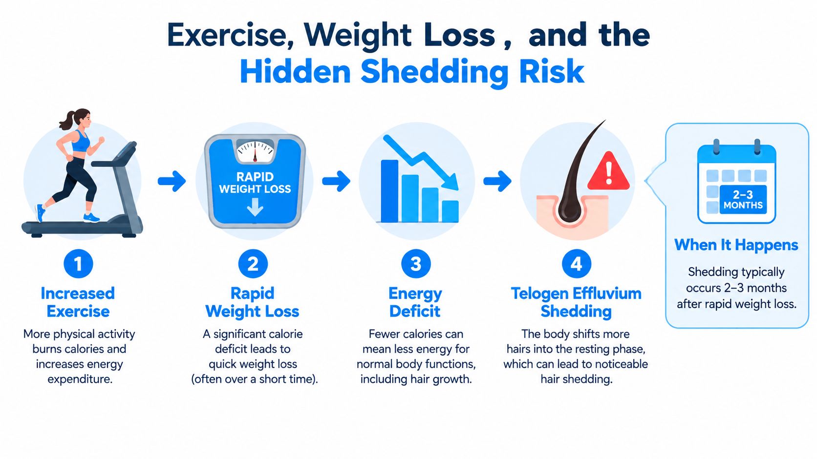 An infographic showing the four steps from increased exercise and rapid weight loss to telogen effluvium hair shedding.