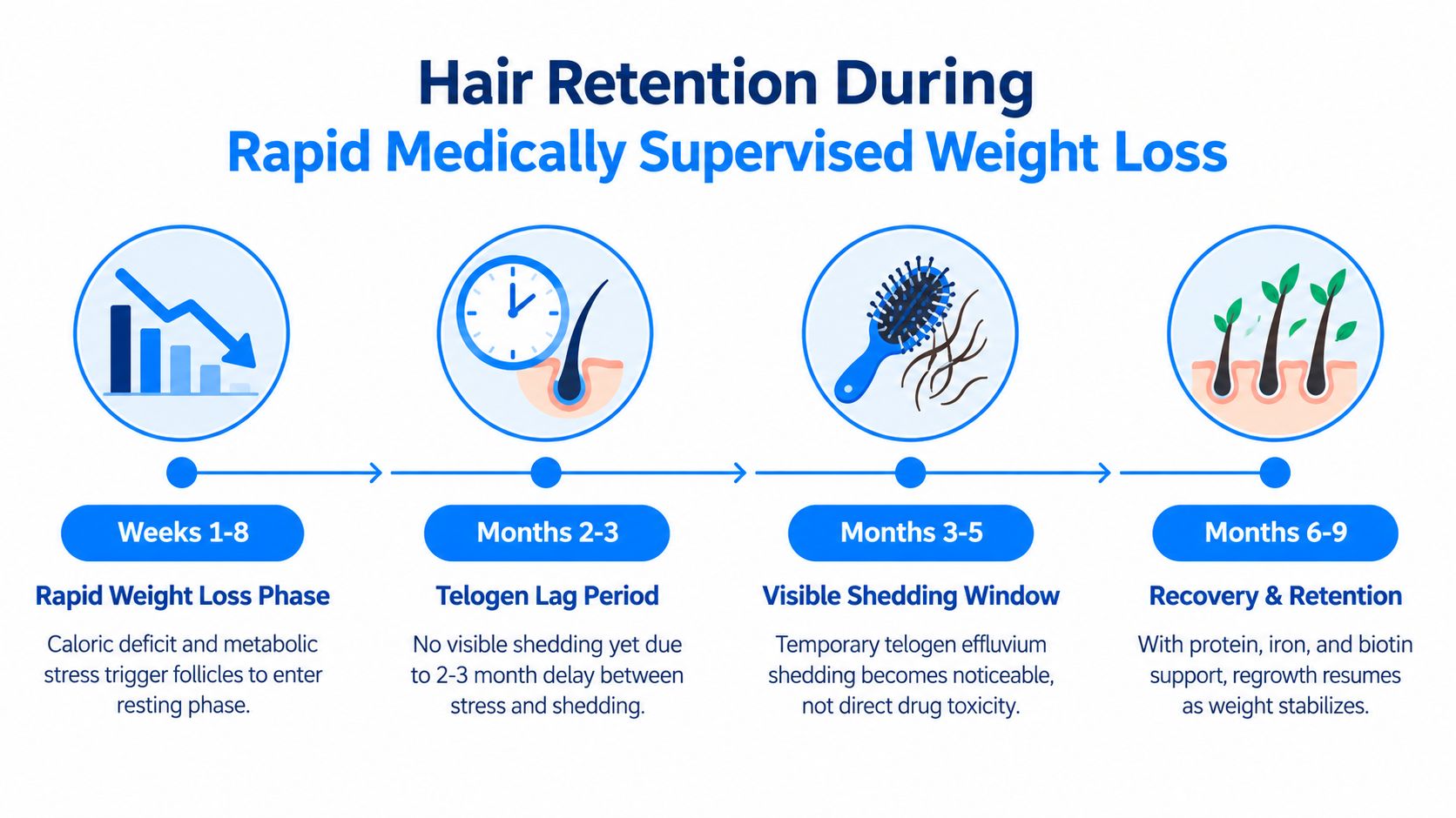 A timeline graphic illustrating the stages of hair loss and regrowth during medically supervised rapid weight loss.