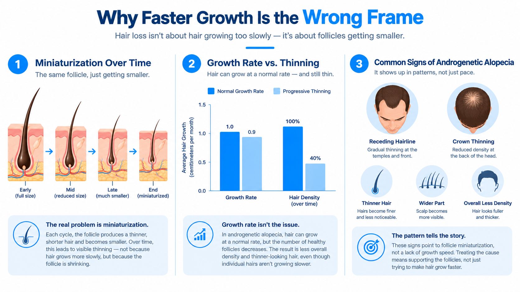 An infographic explaining that hair loss is caused by follicle miniaturization rather than slow hair growth speed.