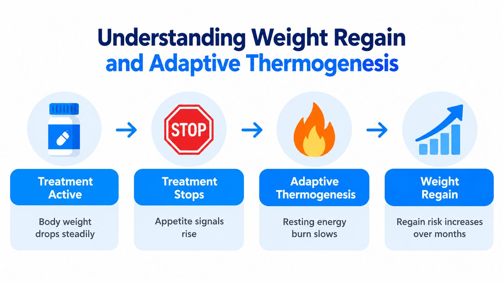 A four-step diagram illustrating the process of weight regain caused by adaptive thermogenesis after stopping treatment.