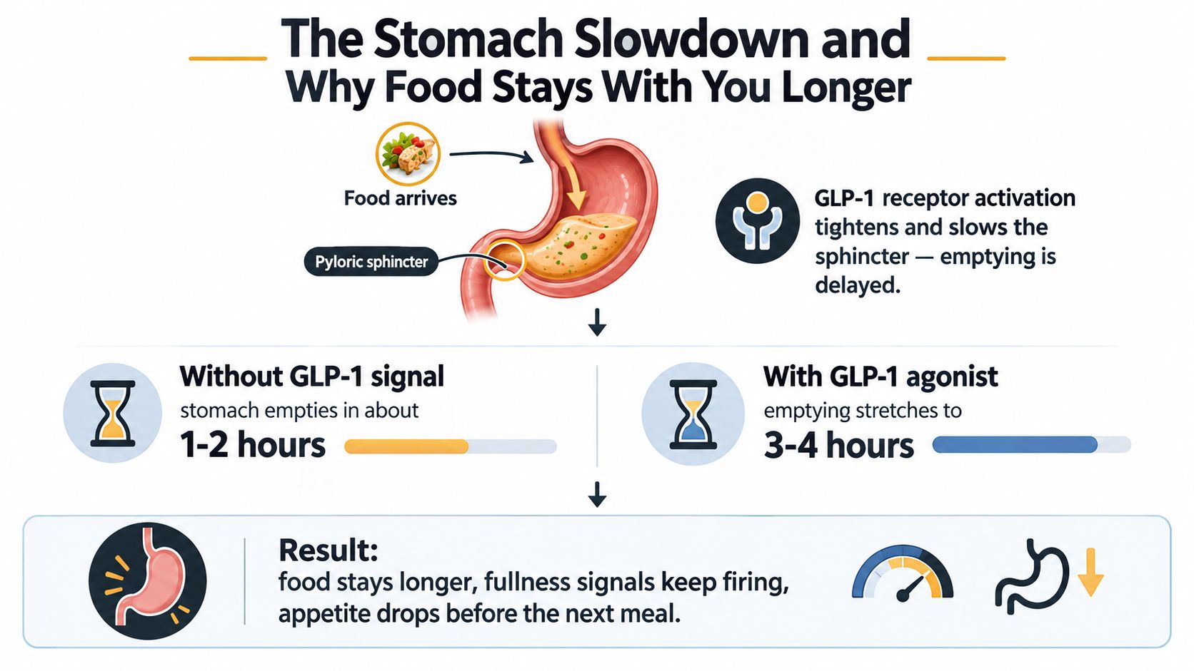 A diagram explaining how GLP-1 receptor activation slows gastric emptying to increase satiety and aid weight loss.