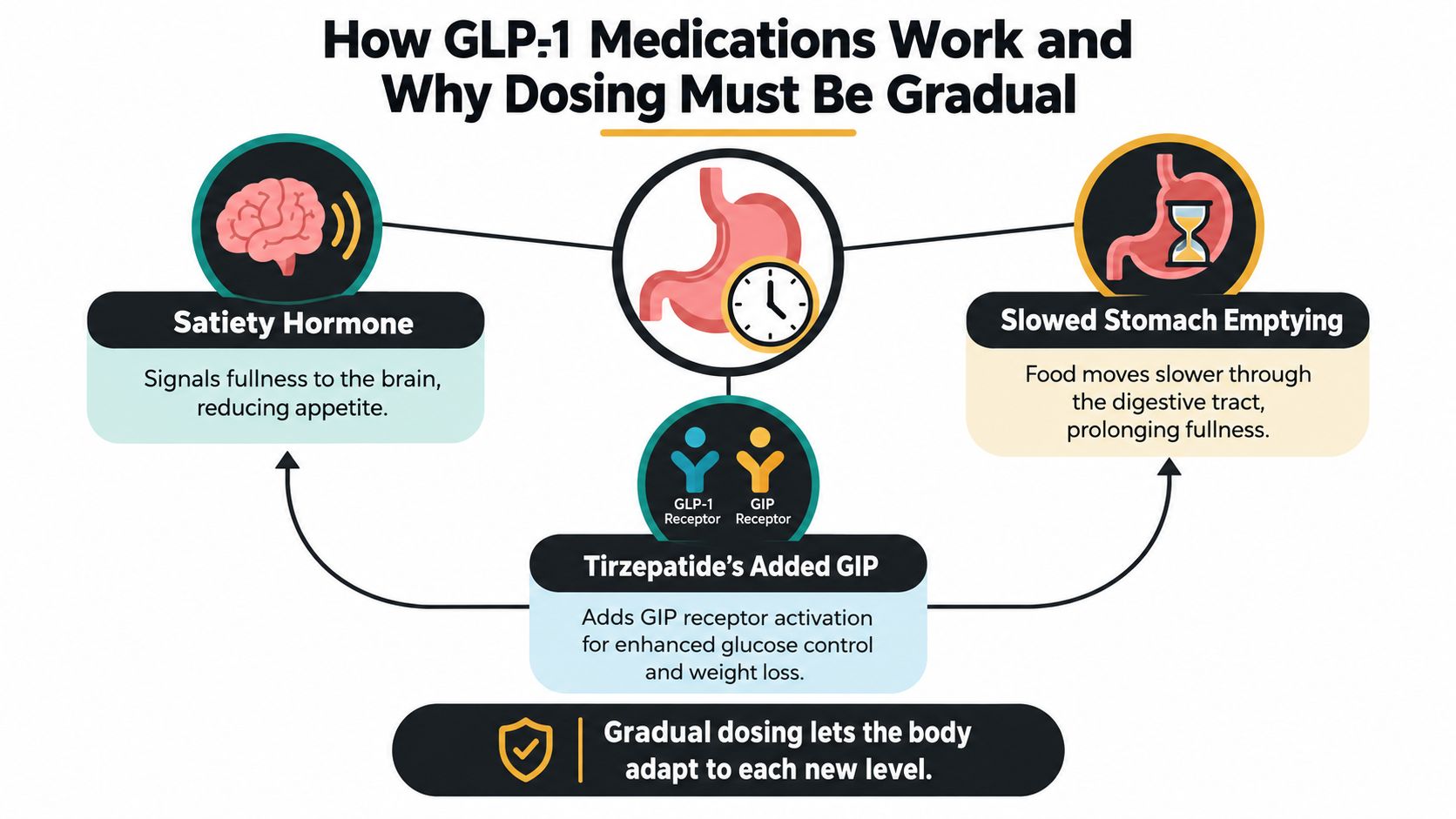 A diagram explaining how GLP-1 medications work, their effect on satiety, stomach emptying, and the importance of gradual dosing.