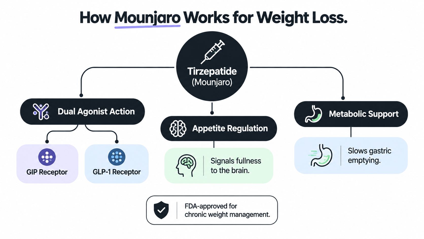 A diagram illustrating the biological mechanisms of how the drug Tirzepatide, or Mounjaro, works for weight loss.