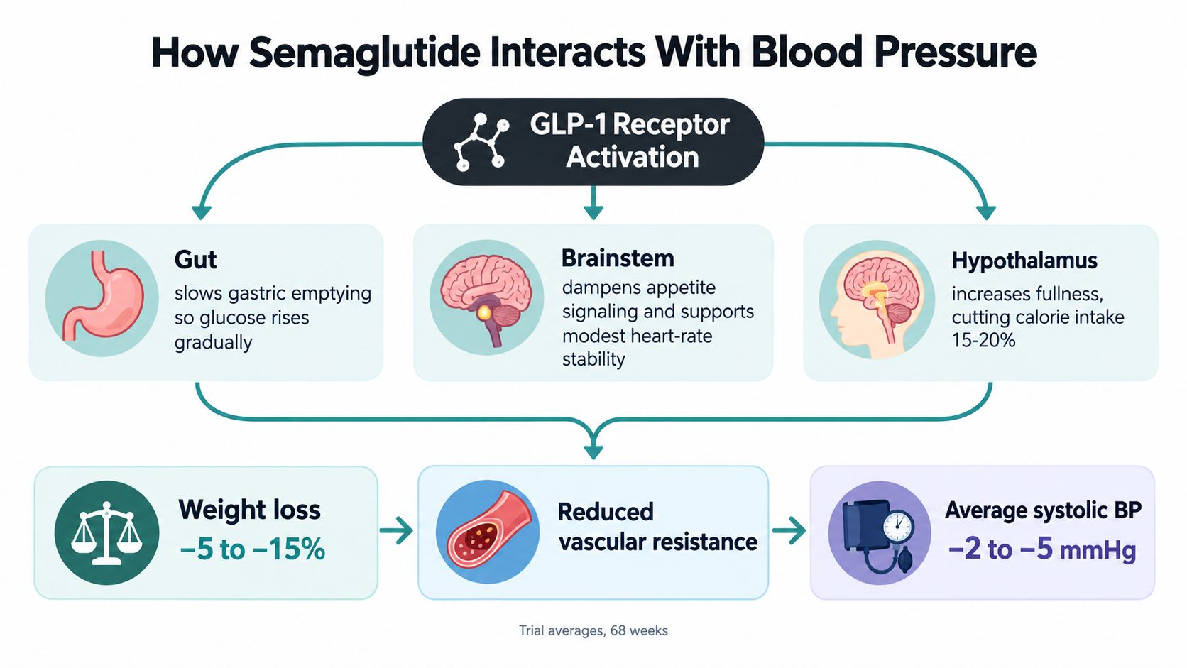 A diagram illustrating how semaglutide affects blood pressure through mechanisms like GLP-1 receptor activation and weight loss.