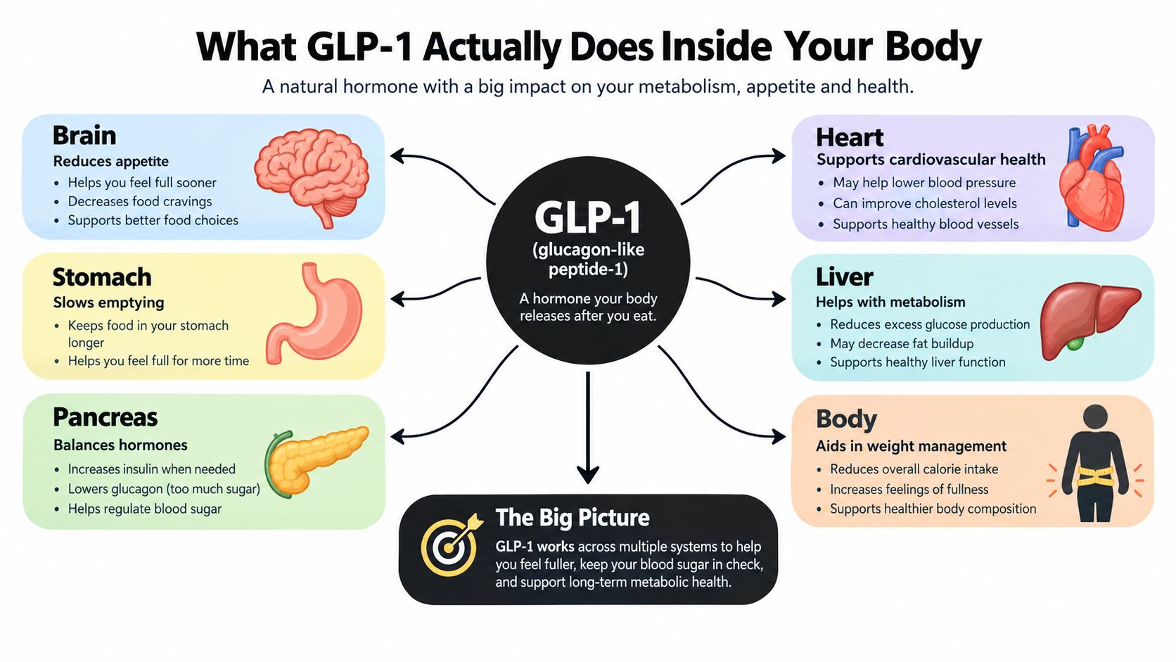 An infographic showing how the GLP-1 hormone interacts with the brain, stomach, pancreas, heart, liver, and body.