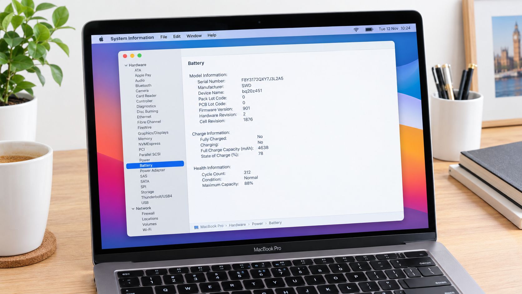 A MacBook Pro screen displaying the System Information menu showing battery health and cycle count statistics.