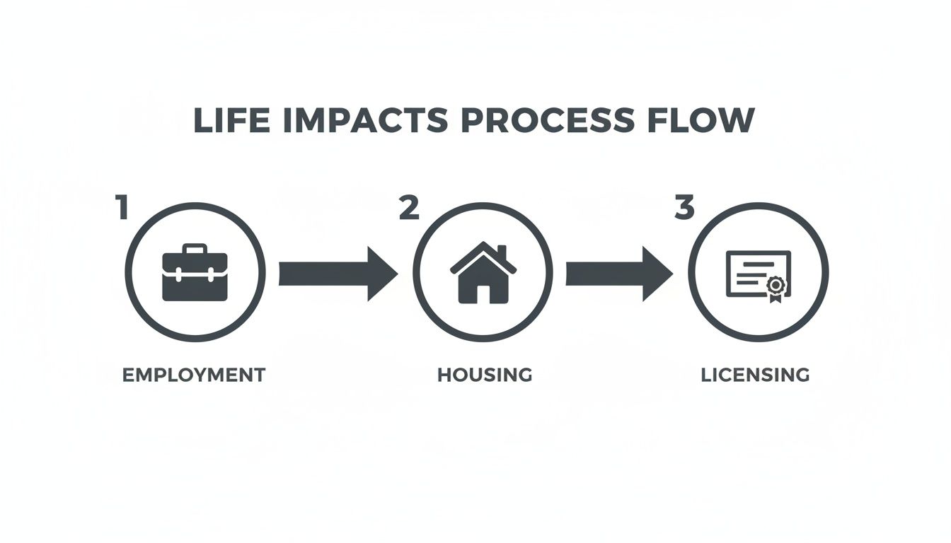 A life impacts process flow chart illustrating three sequential steps: employment, housing, and licensing.