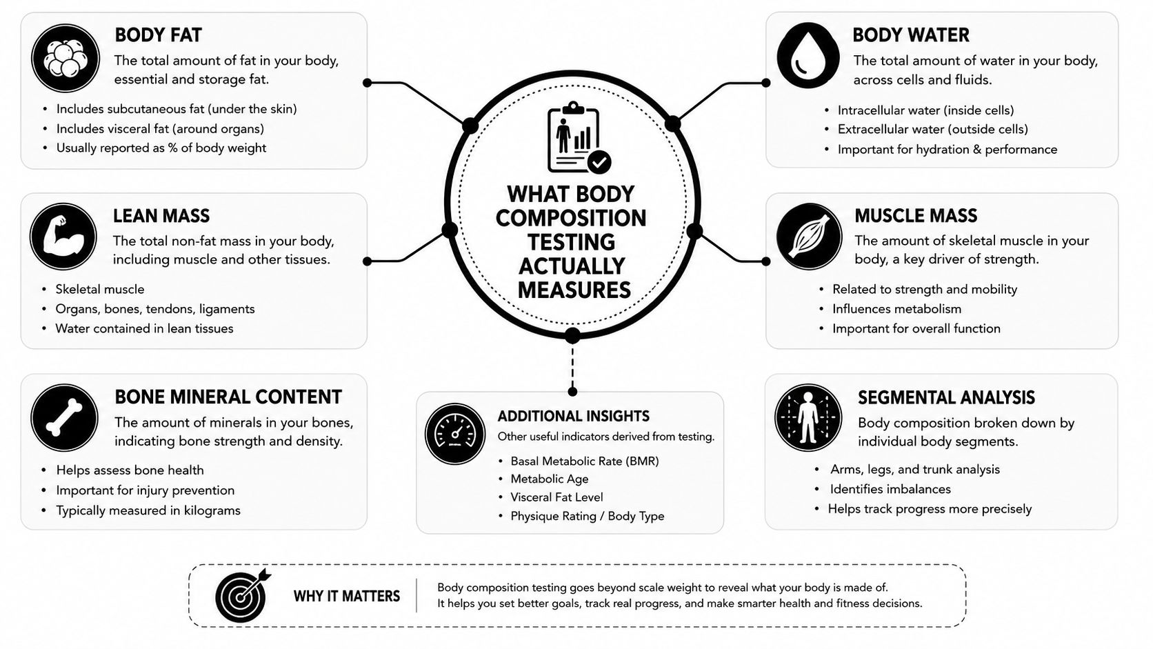 An infographic titled What Body Composition Testing Actually Measures detailing various health metrics and body analysis components.