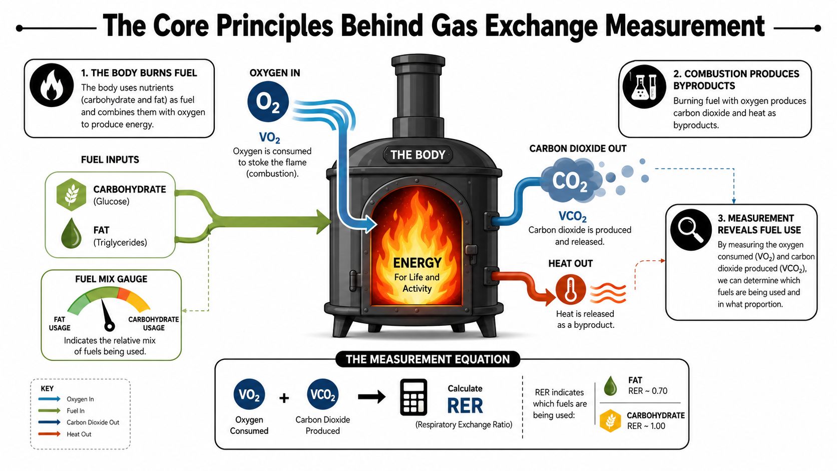 A diagram explaining the principles of gas exchange measurement and how the body uses fuel energy.