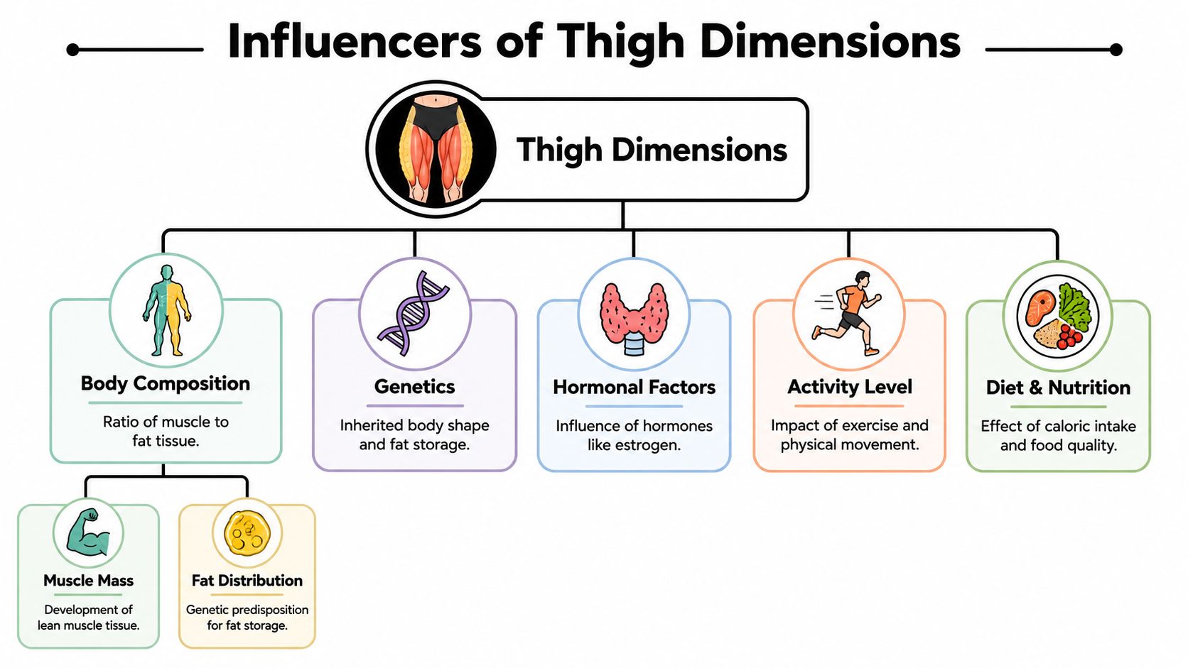 Average Thigh Size for Women: A Clinical & Fitness Guide | Cartwright ...