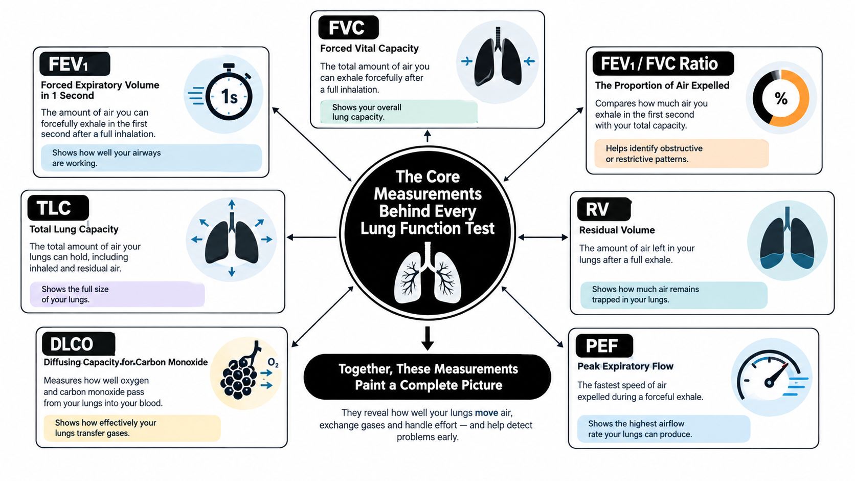 Lung Function Test: A Professional Guide to Spirometry 2 An infographic showing the core measurements used in lung function tests, including FVC, FEV1, TLC, and DLCO.