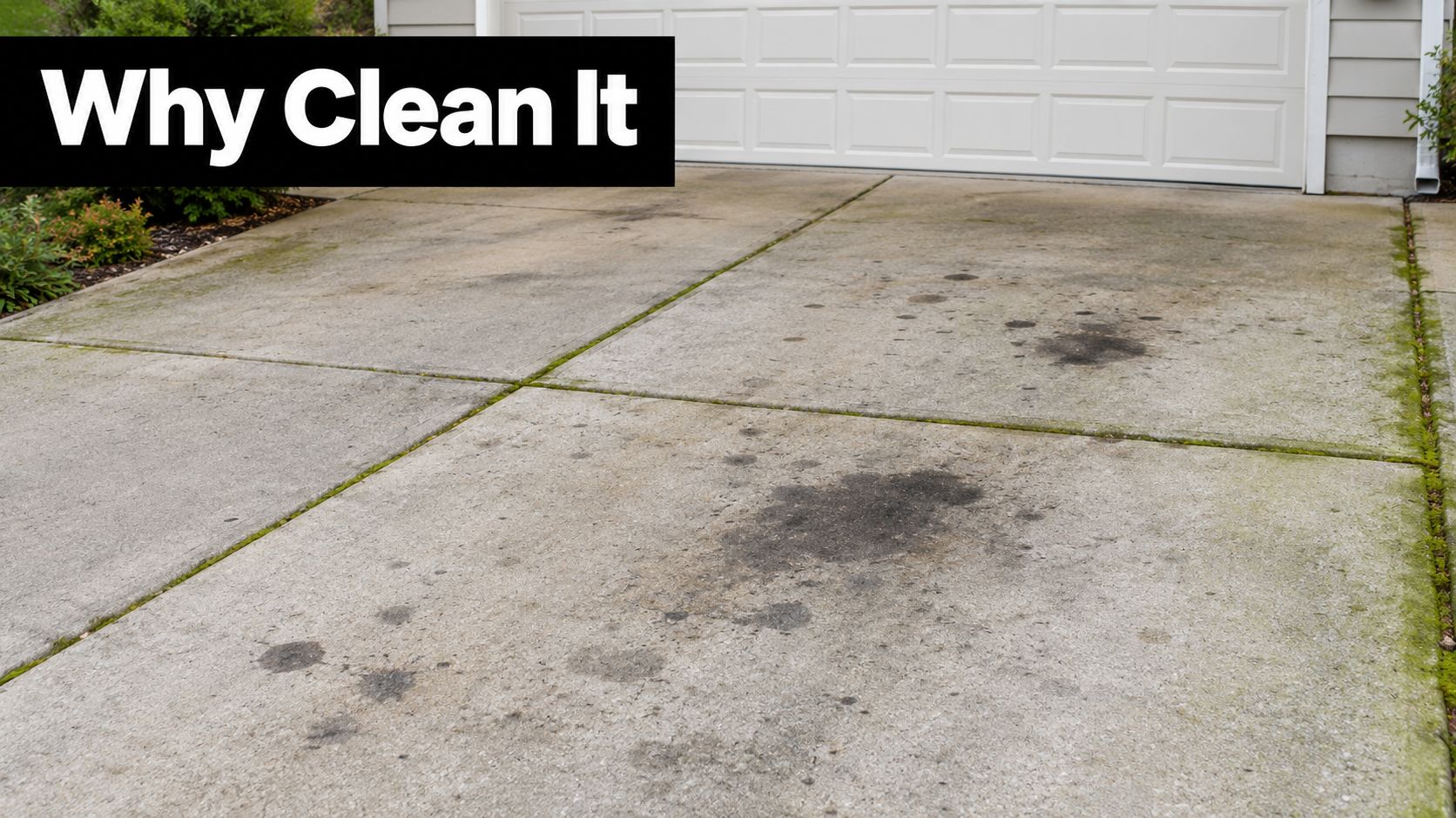 A dirty residential concrete driveway showing various dark oil stains and green moss growth between segments.