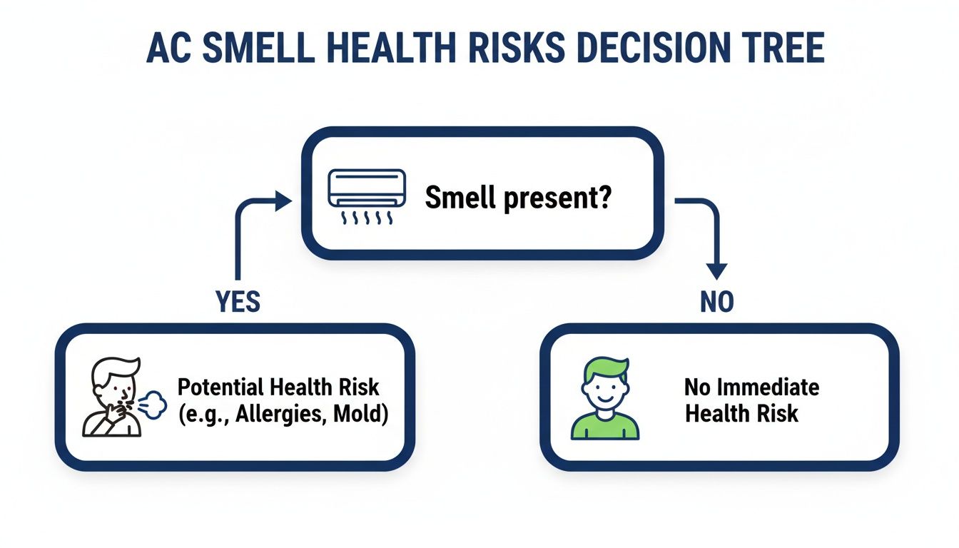 Decision tree diagram illustrating AC smell health risks: 'Smell present?' leads to 'YES' (Potential Health Risk e.g., Allergies, Mold) or 'NO' (No Immediate Health Risk).