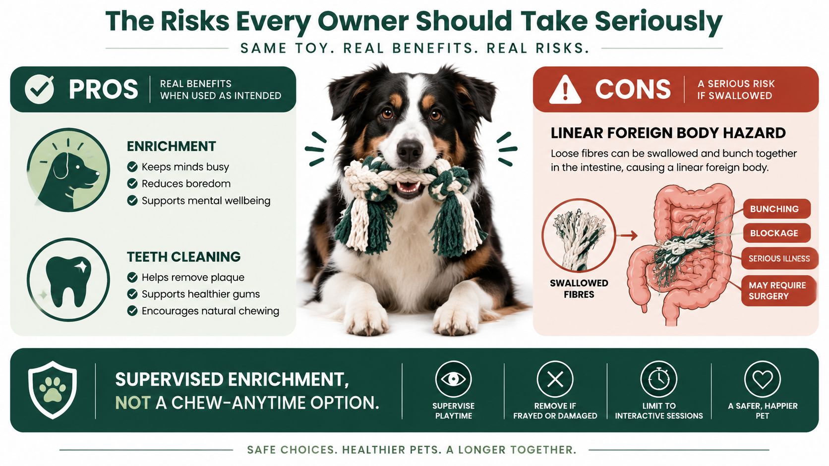 An infographic detailing the benefits and risks of using rope toys for dogs to promote pet safety.