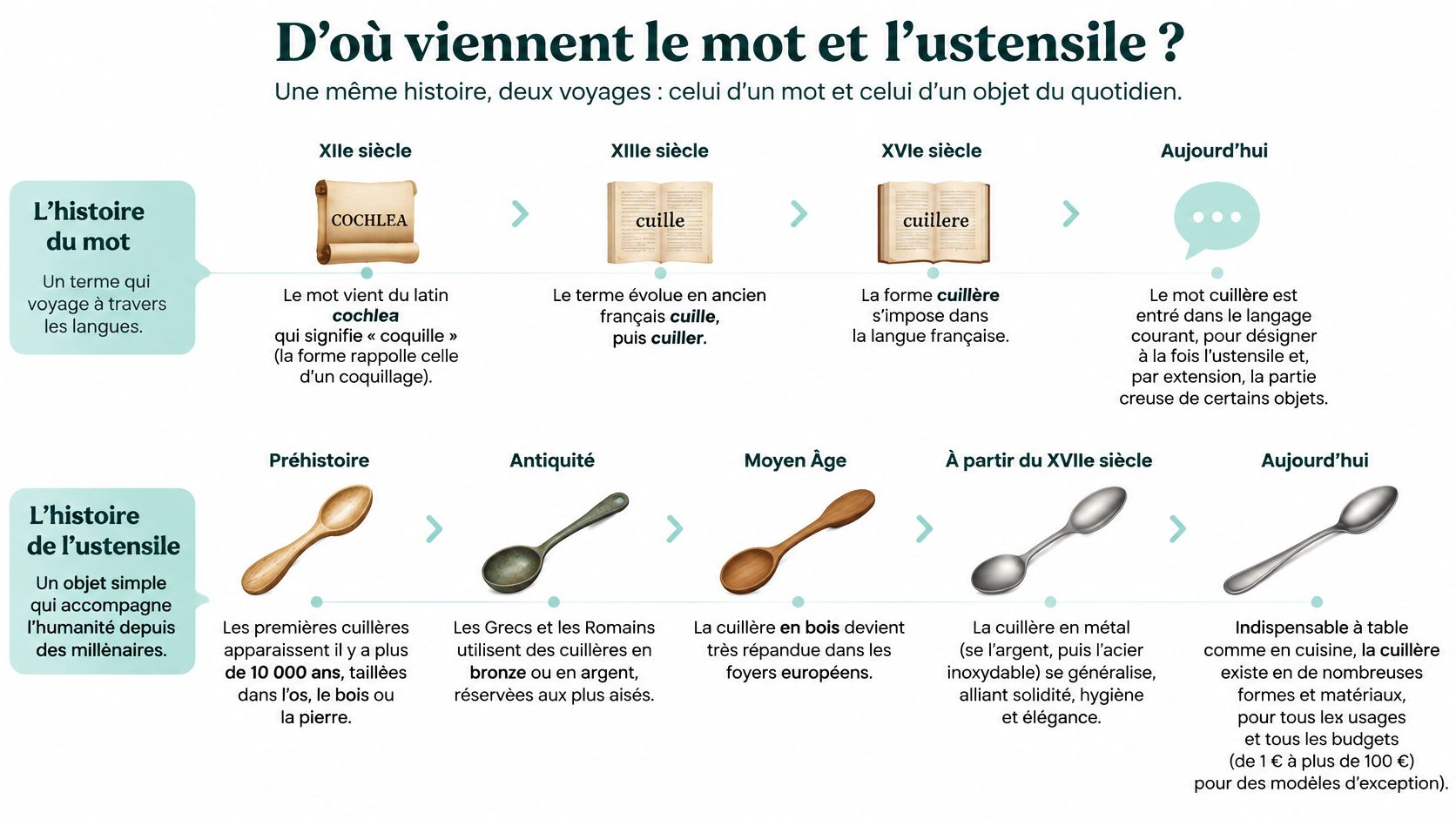 Une infographie détaillée illustrant l'évolution historique du mot cuillère et de l'ustensile de cuisine associé.